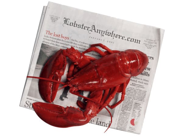 Buy Live Maine Lobster