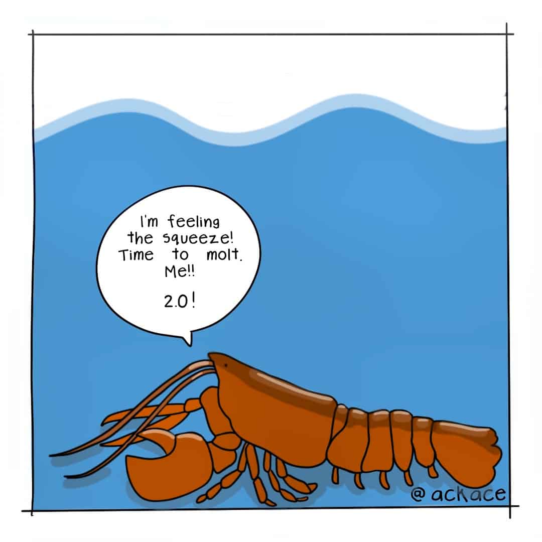 How Lobsters Molt