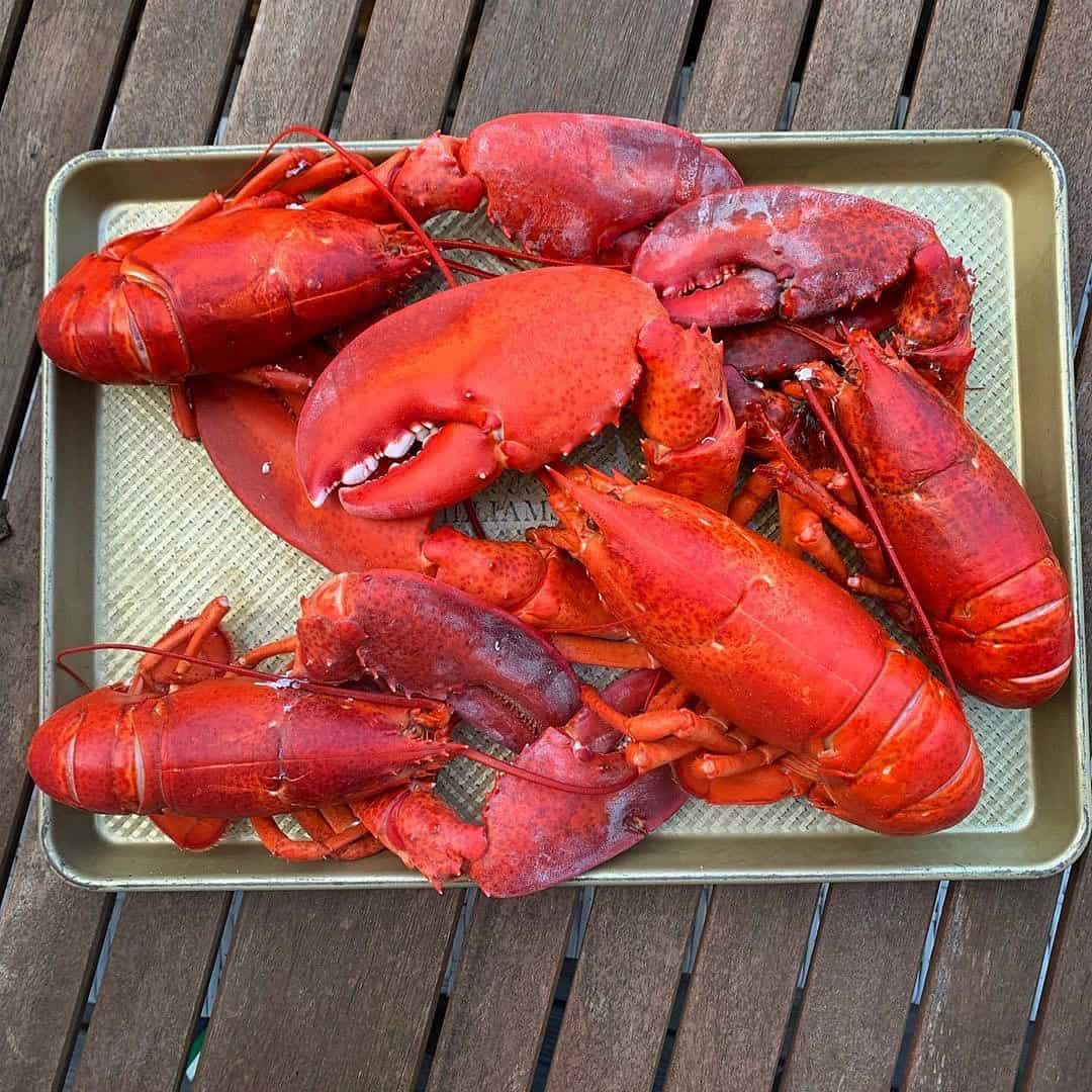 Baked Lobster Recipe