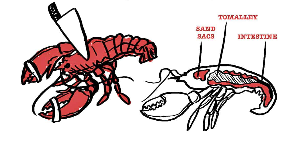 Killing Lobster