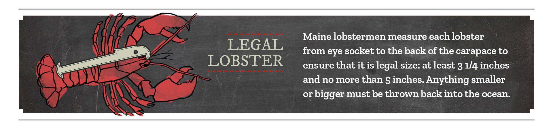 Legal Lobster