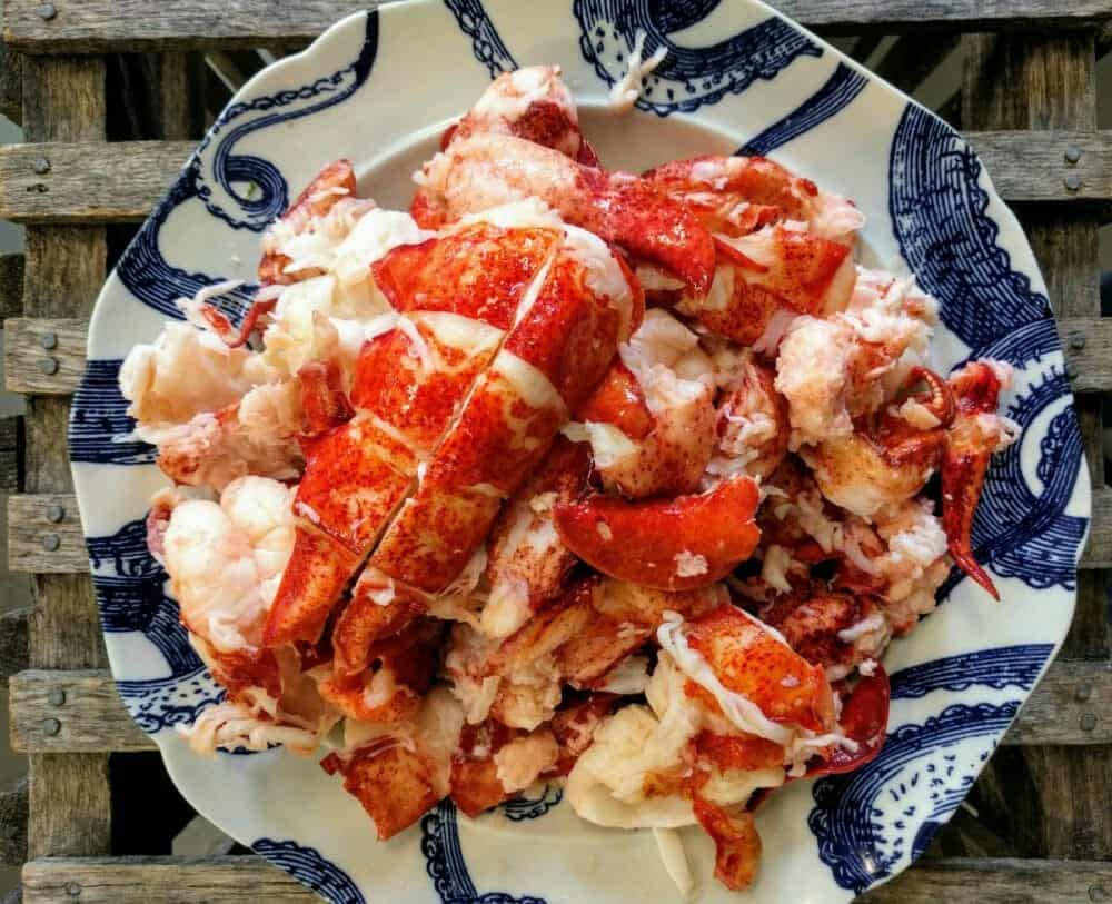 Order Fresh Maine Lobster Meat
