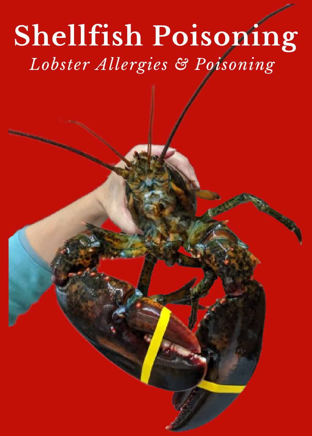Lobster Poisoning