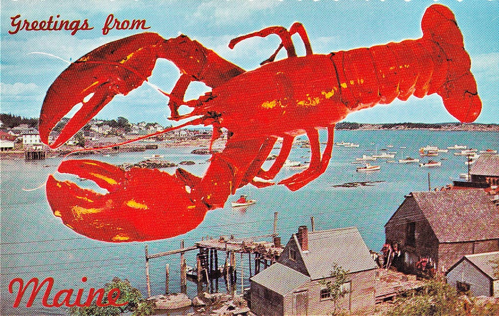 Red Lobster Color