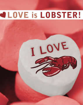Valentines Day Lobster Love