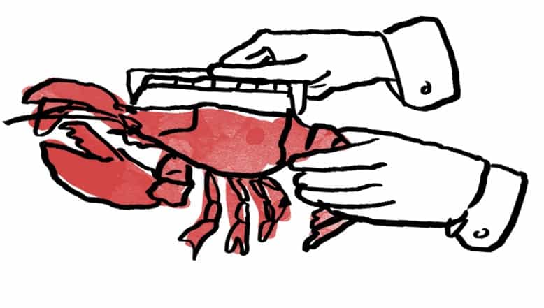 Measure Lobster Size