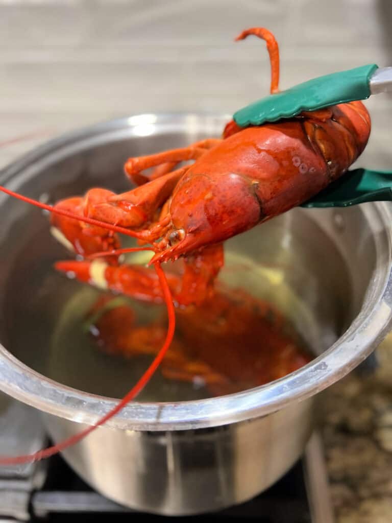 How to Boil Lobsters