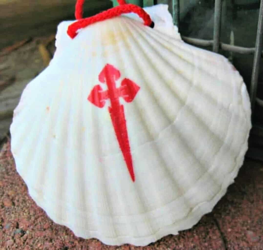 Scallop shell of Saint James
