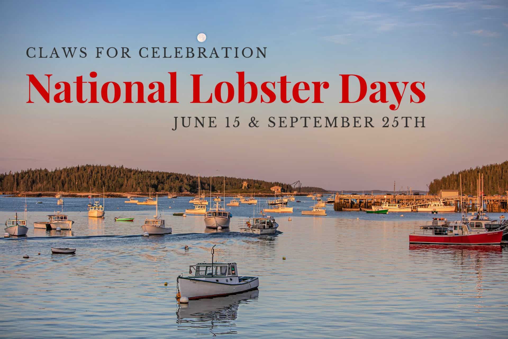What Day Is National Lobster Day